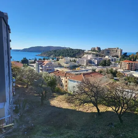 Nikcevic *
