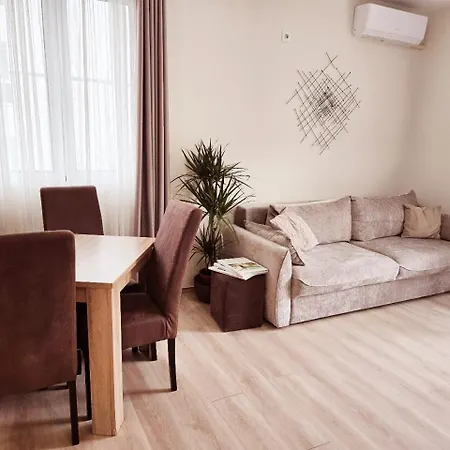 Nikcevic 公寓 *