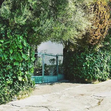 Nikcevic 公寓 布德瓦